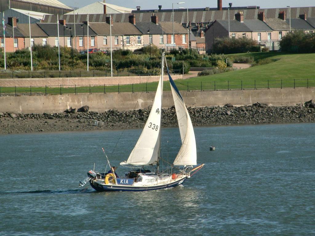 Click now to see this image full size.