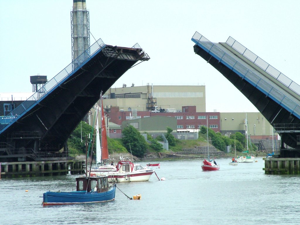 Click now to see this image full size.