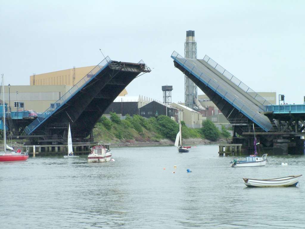 Click now to see this image full size.