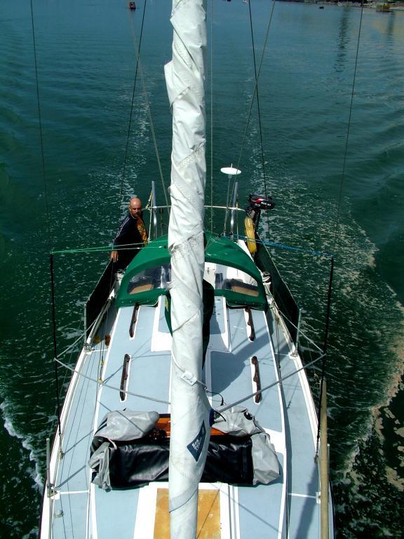 Click now to see this image full size.