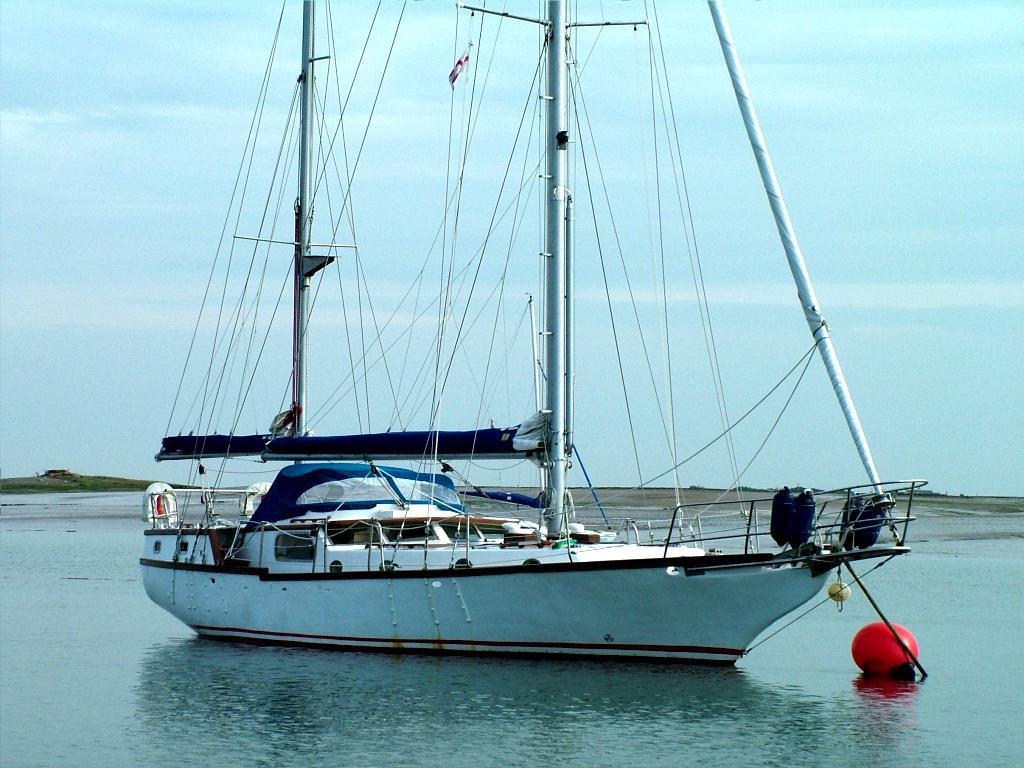 Click now to see this image full size.