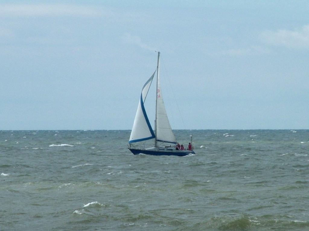 Click now to see this image full size.