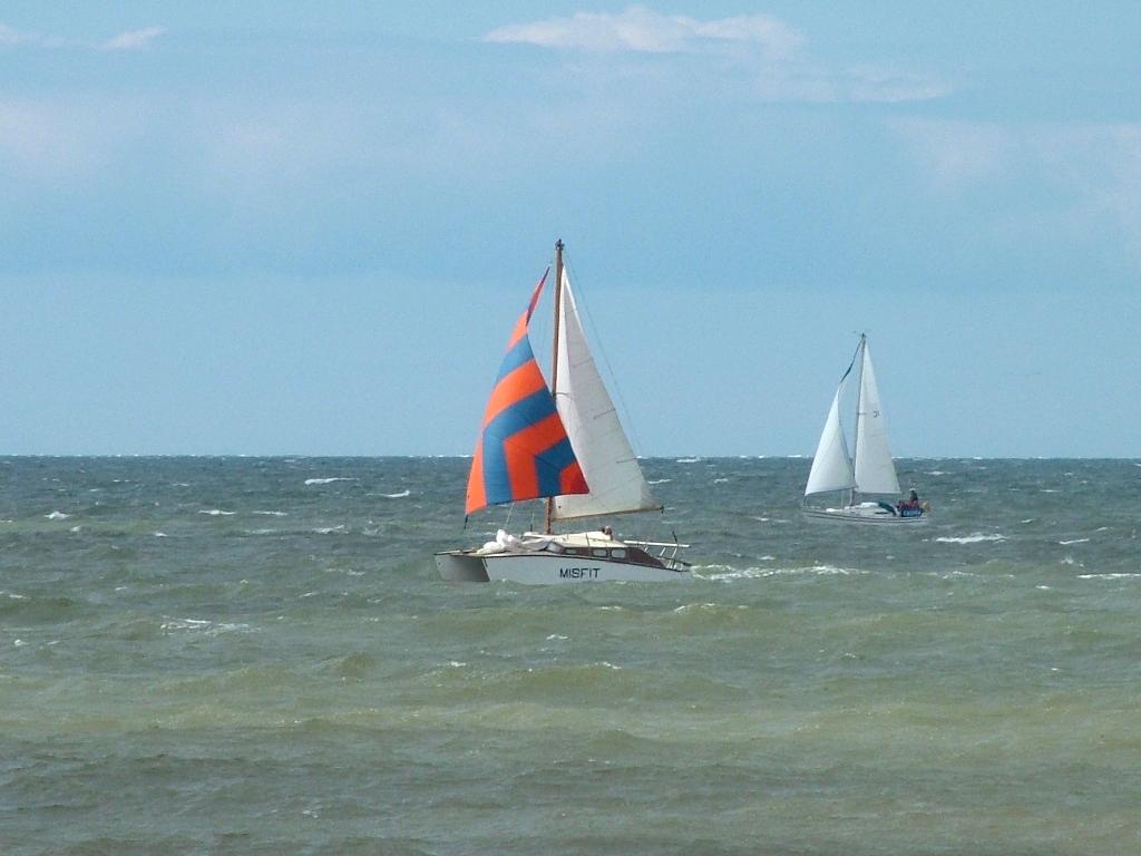 Click now to see this image full size.