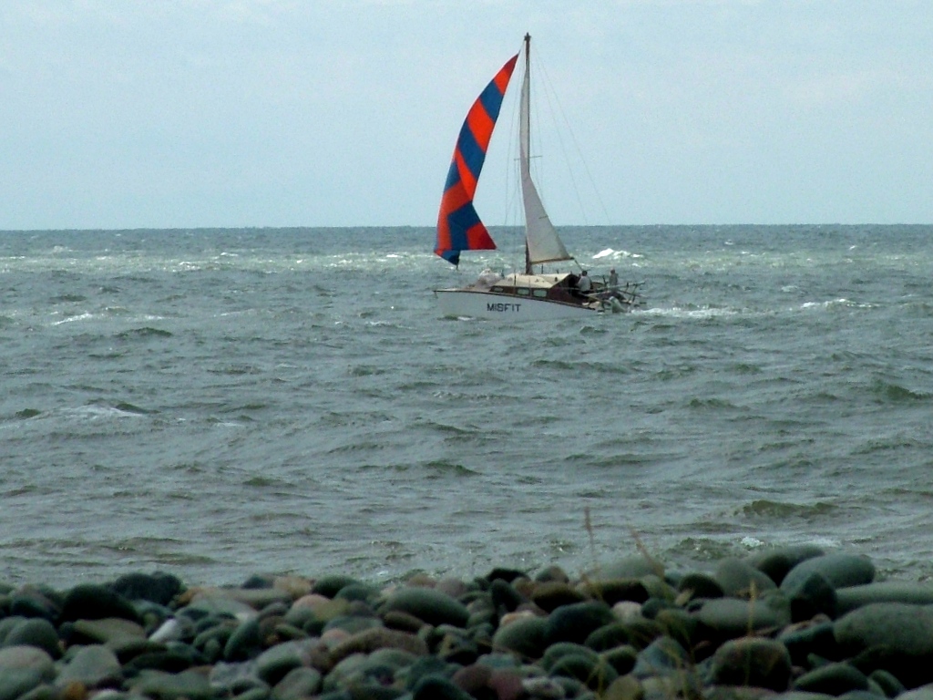 Click now to see this image full size.