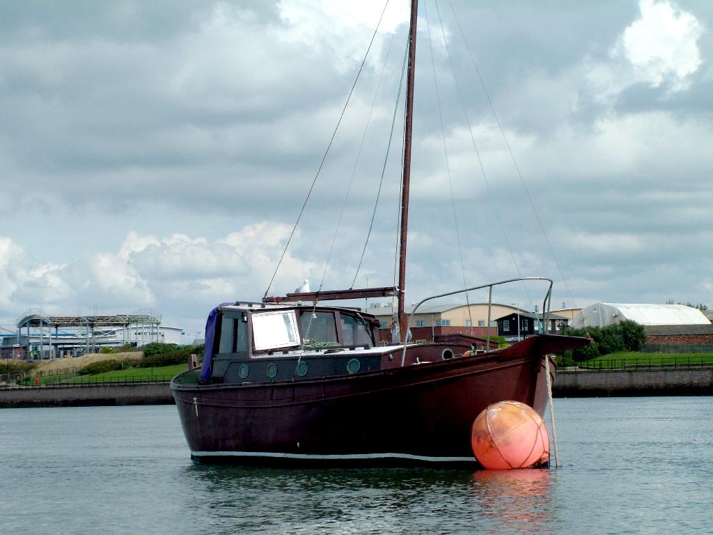 Click now to see this image full size.