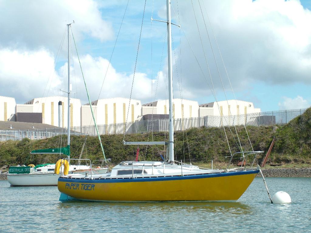 Click now to see this image full size.