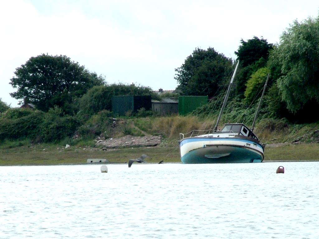 Click now to see this image full size.