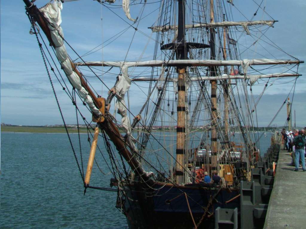 Click now to see this image full size.