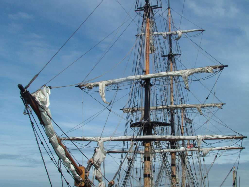 Click now to see this image full size.