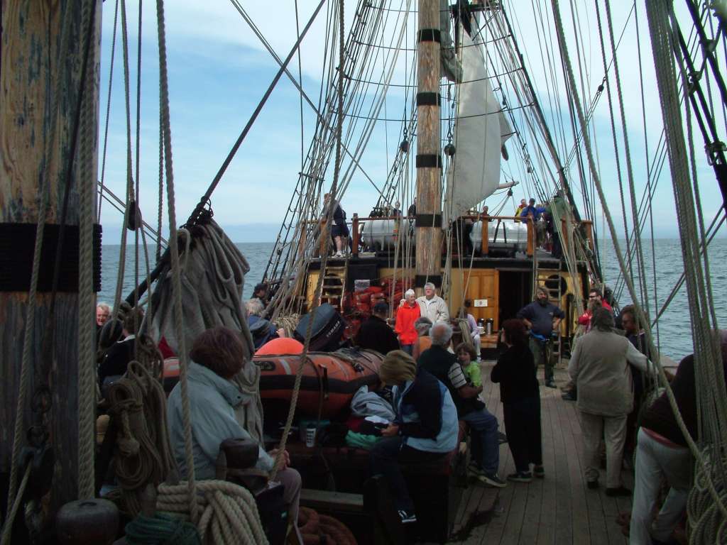 Click now to see this image full size.