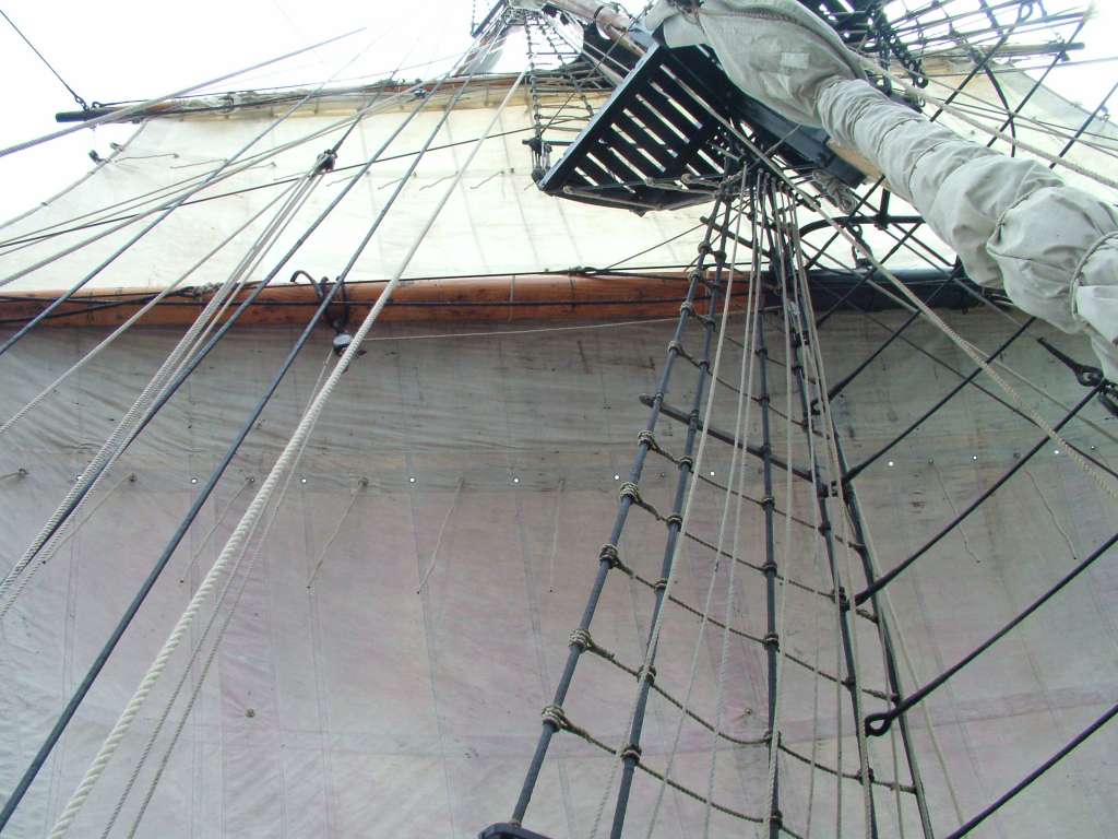 Click now to see this image full size.