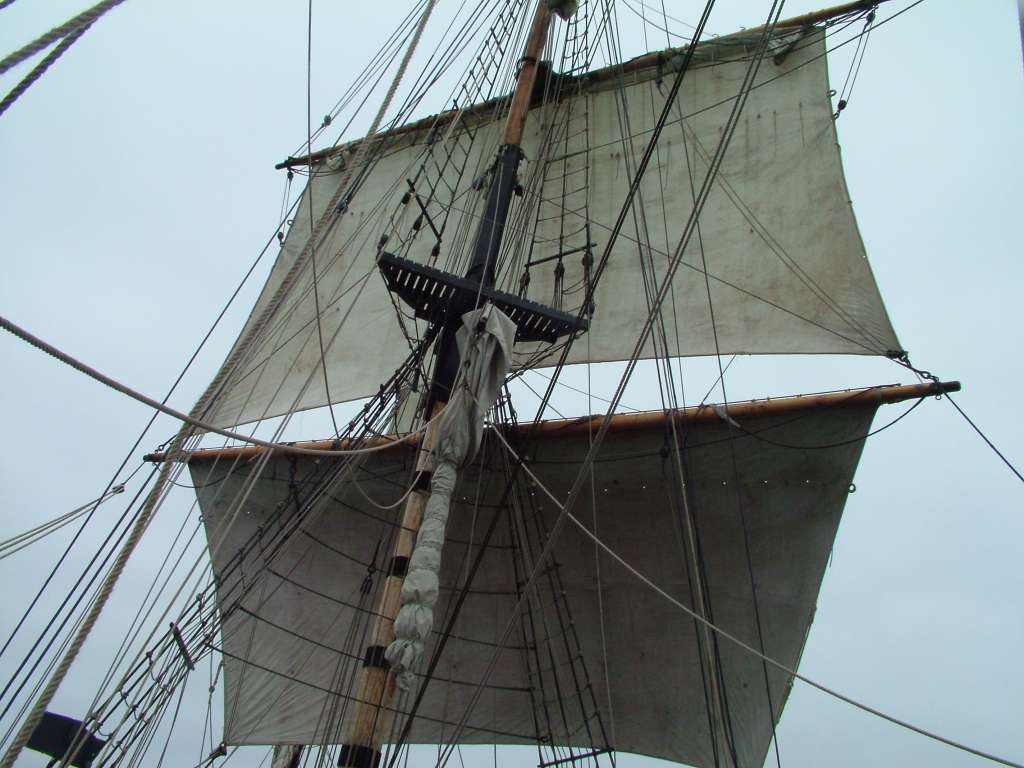 Click now to see this image full size.