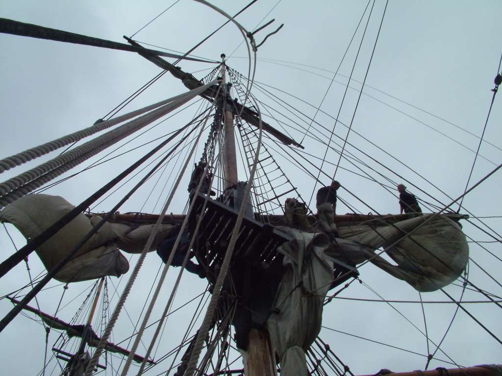 Click now to see this image full size.