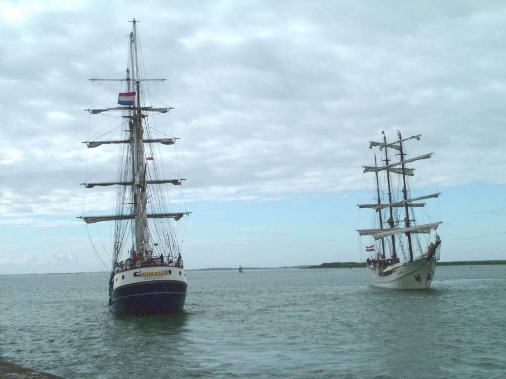 Click now to see this image full size.