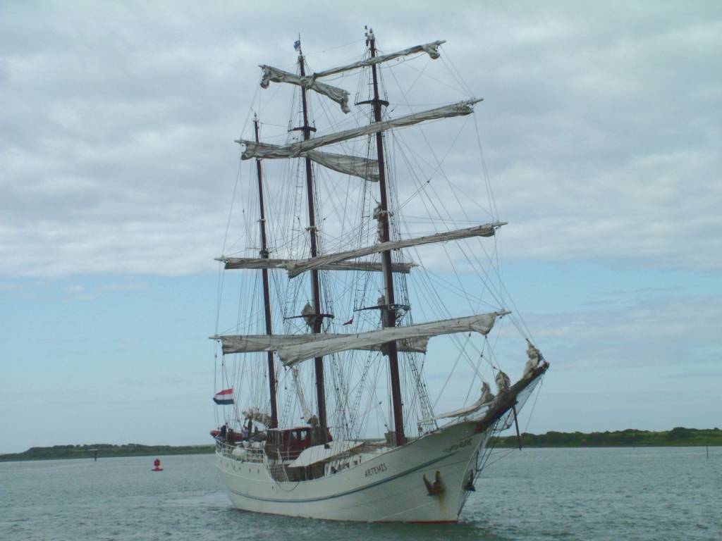 Click now to see this image full size.