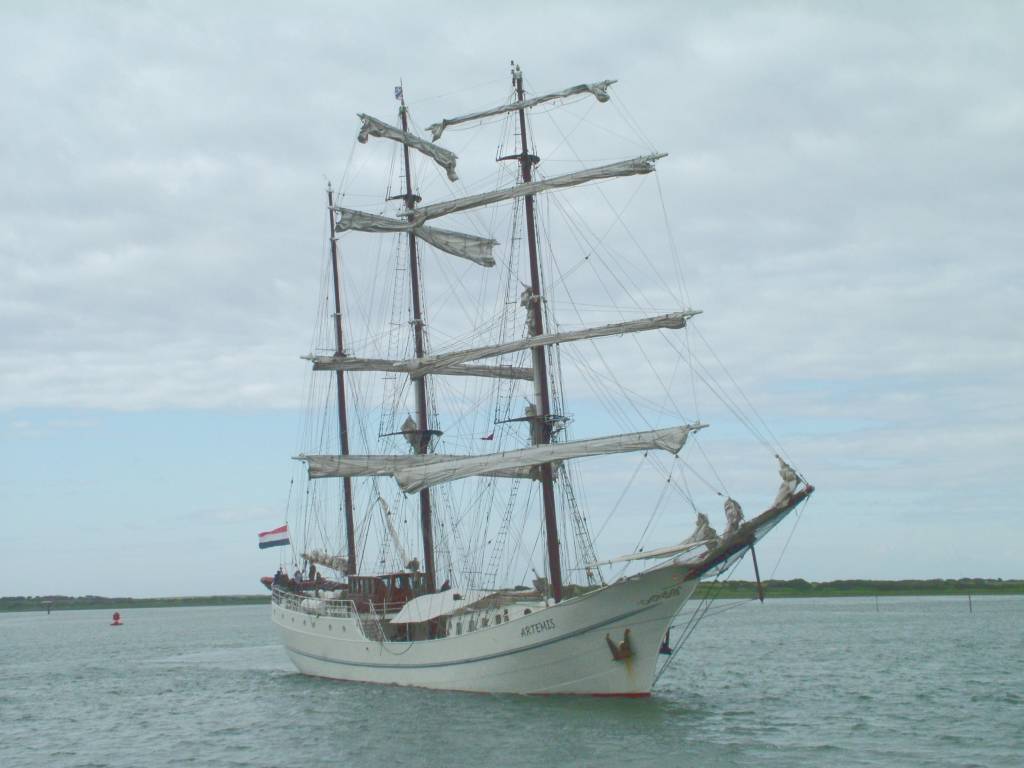 Click now to see this image full size.