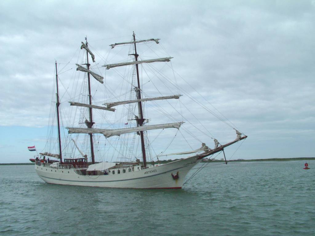 Click now to see this image full size.