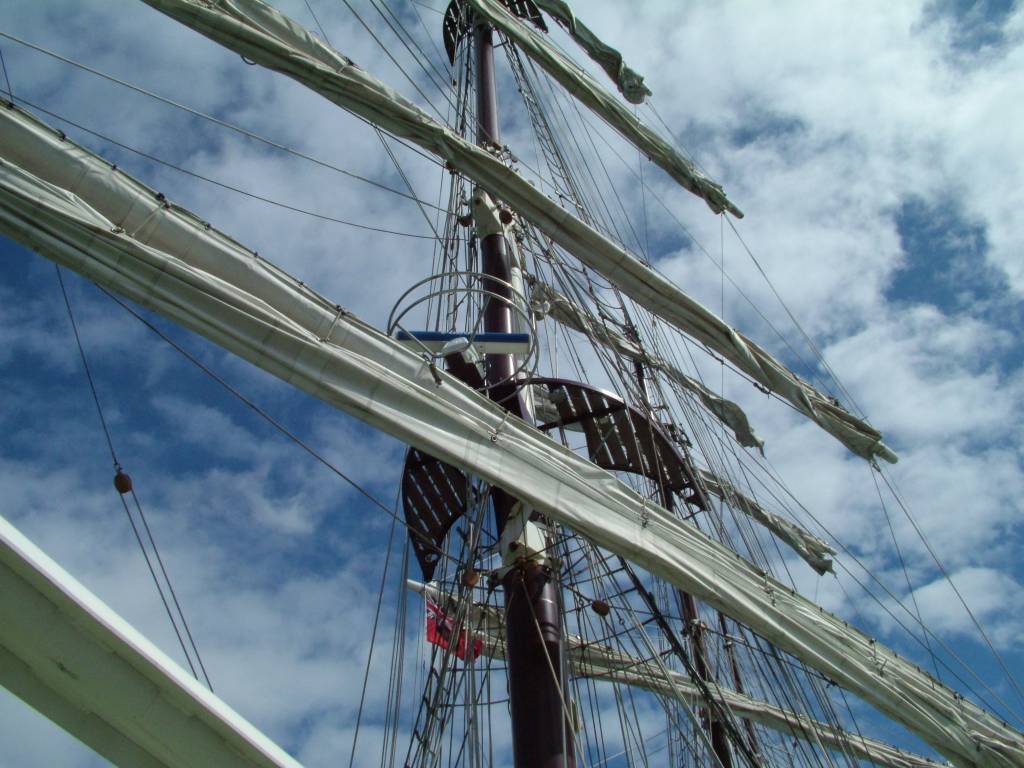 Click now to see this image full size.