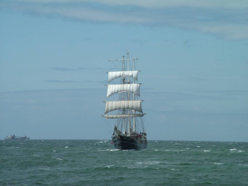 Click now to see this image full size.