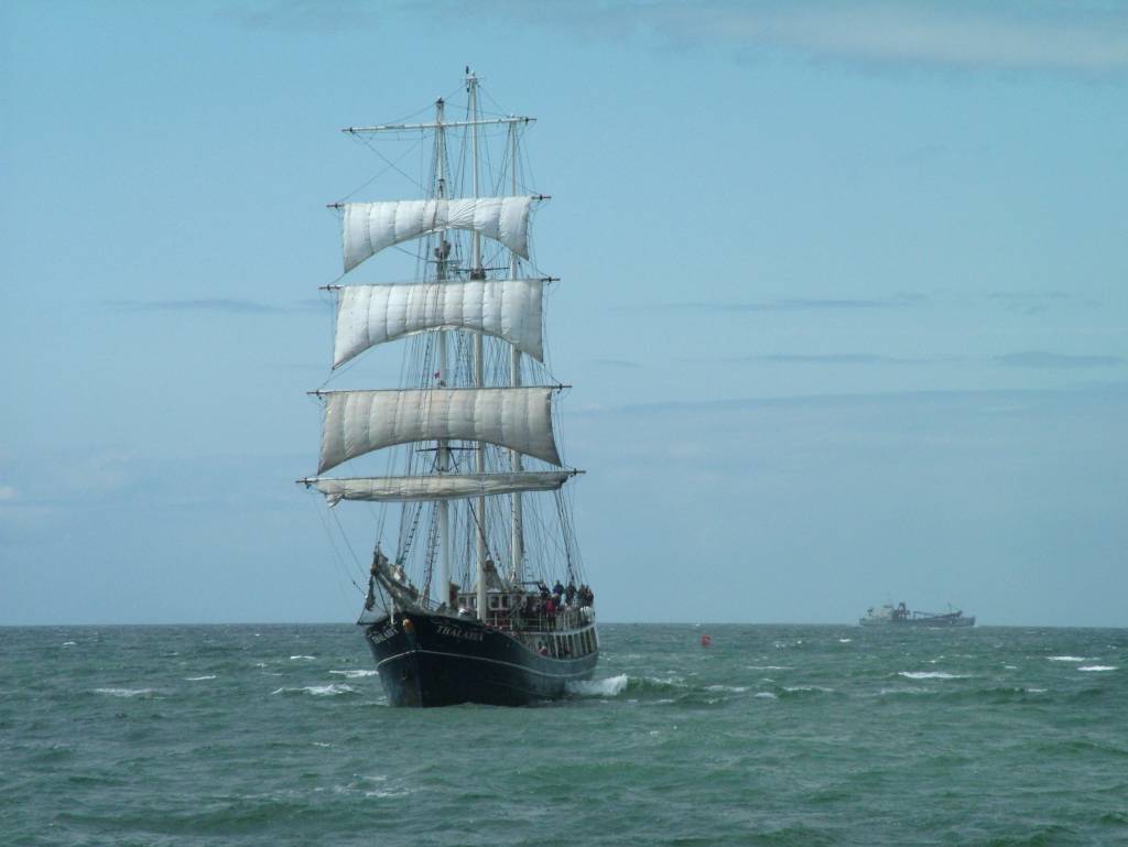 Click now to see this image full size.