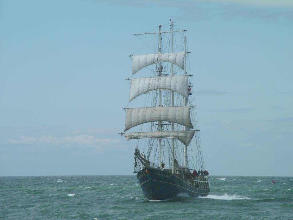 Click now to see this image full size.