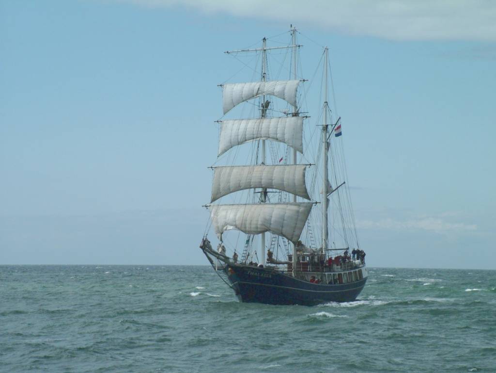 Click now to see this image full size.