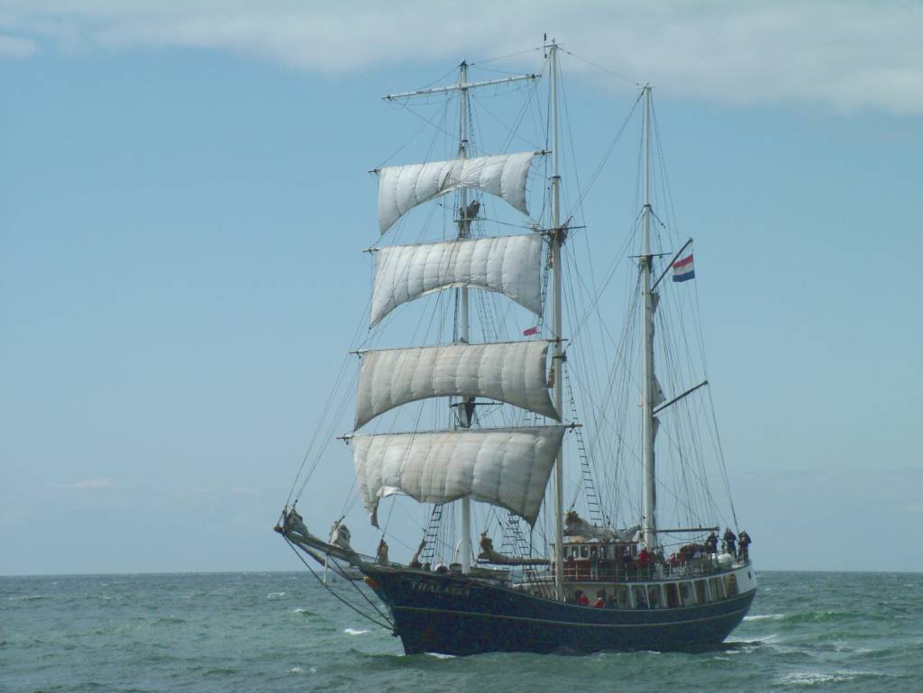 Click now to see this image full size.