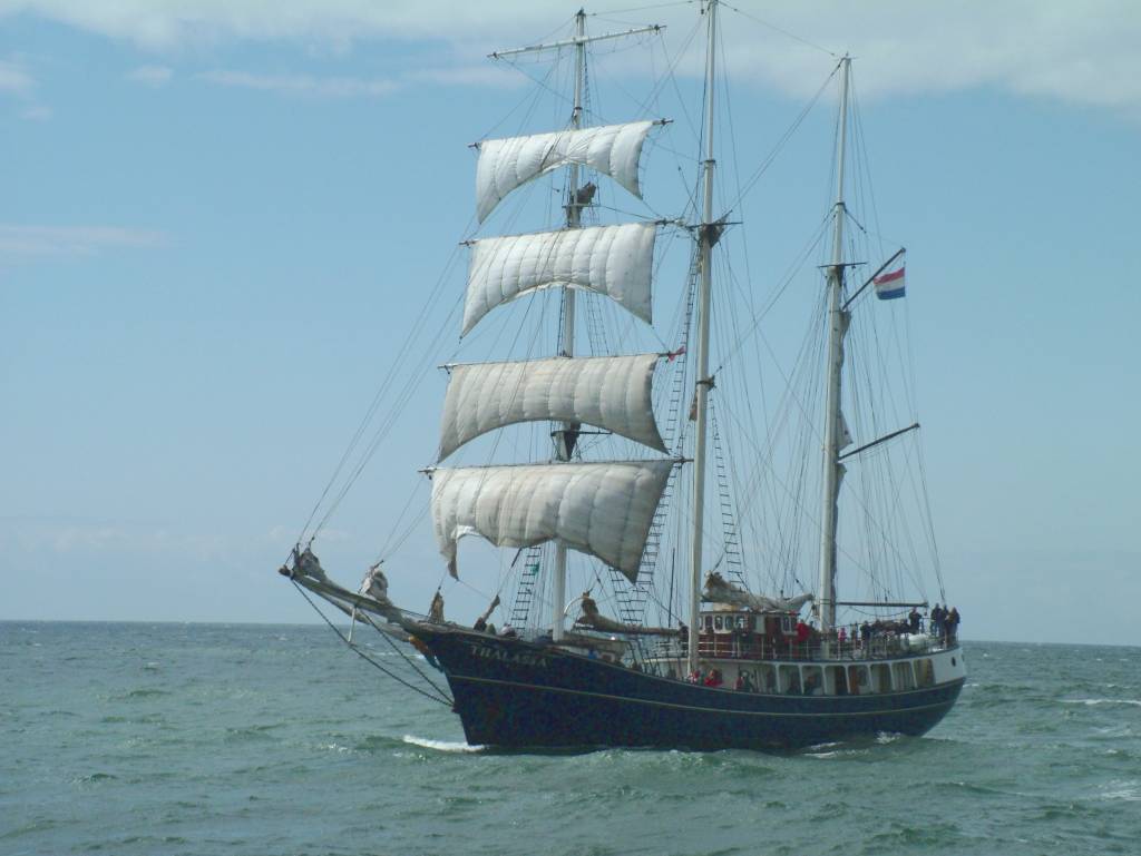 Click now to see this image full size.