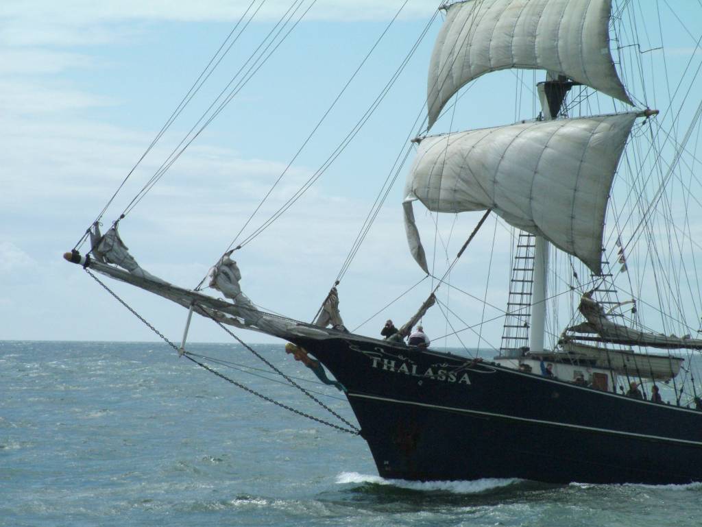 Click now to see this image full size.