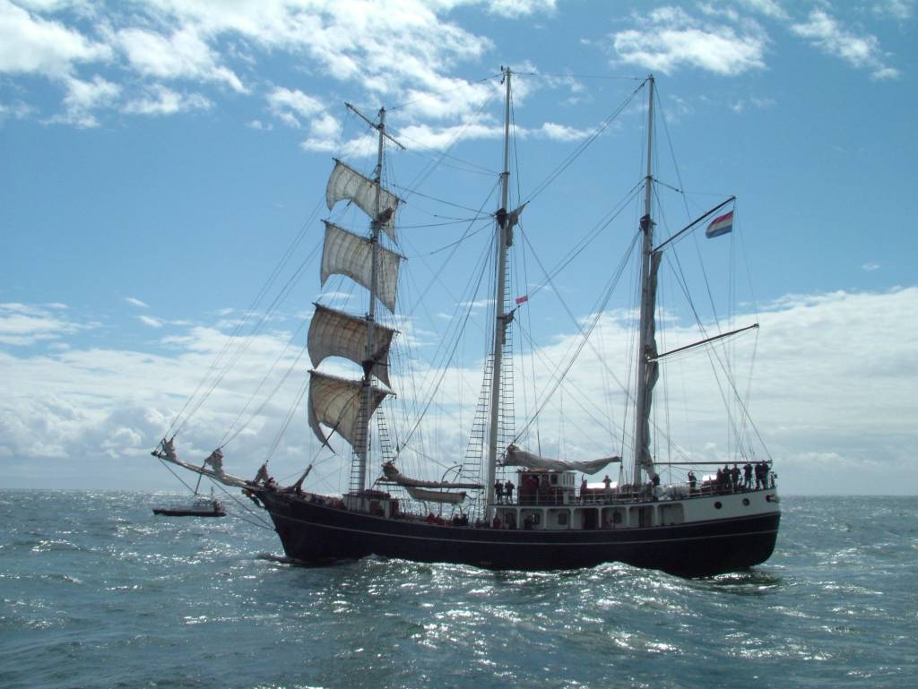 Click now to see this image full size.