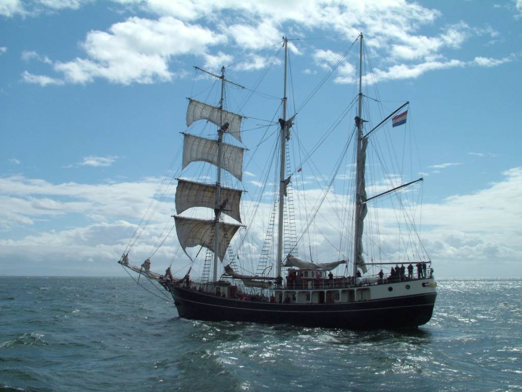 Click now to see this image full size.