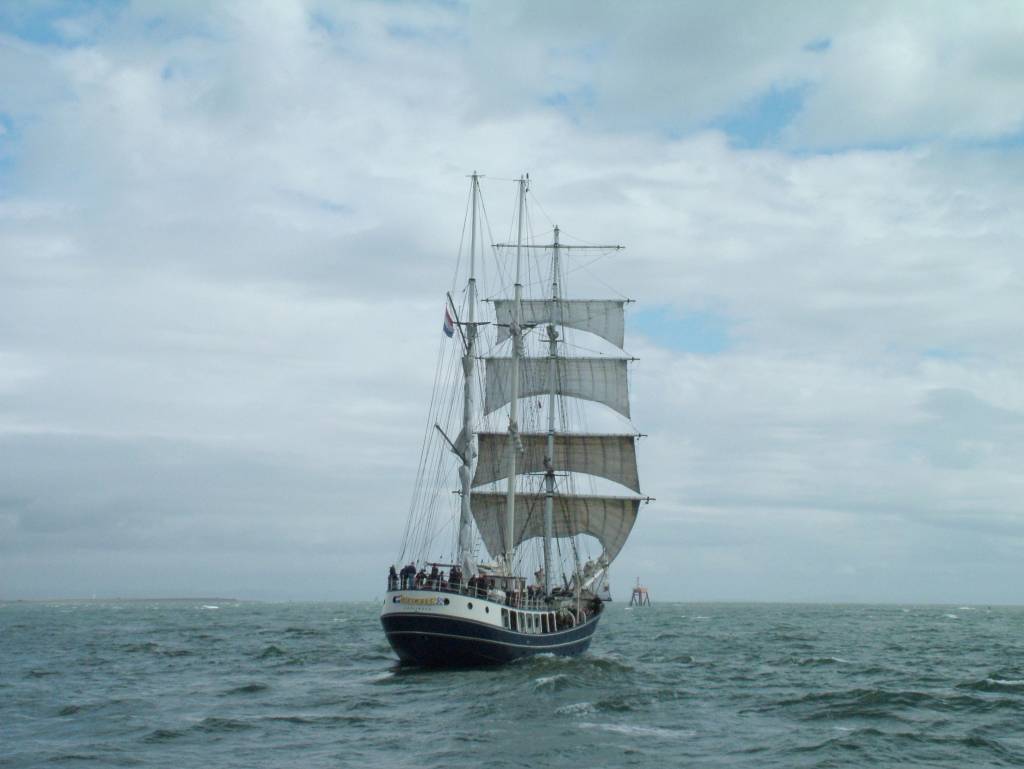 Click now to see this image full size.