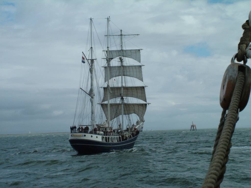 Click now to see this image full size.