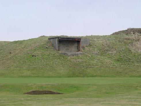 Click now to see this image full size.