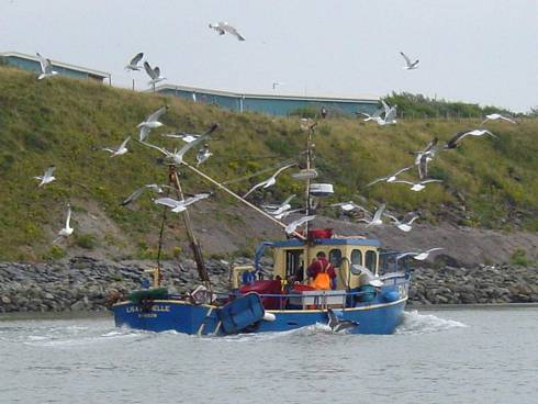 Click now to see this image full size.