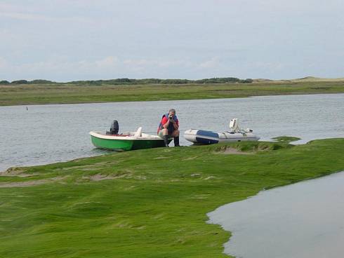 Click now to see this image full size.