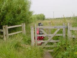 Click now to see this image full size.