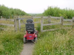 Click now to see this image full size.