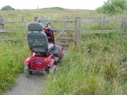 Click now to see this image full size.