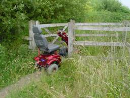 Click now to see this image full size.