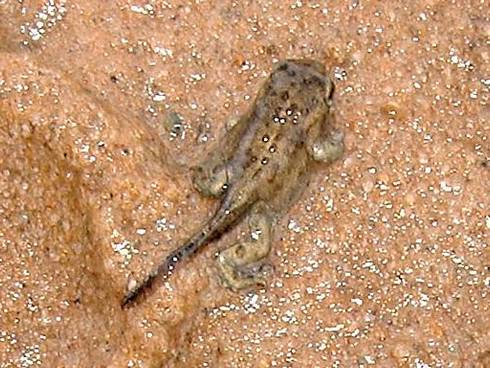 Click now to see this image full size.