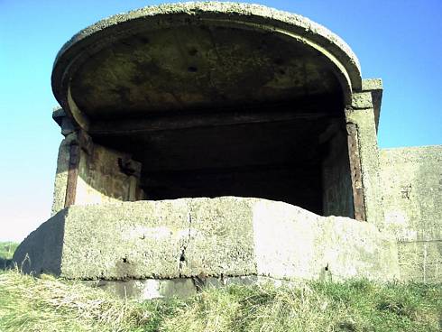 Click now to see this image full size.