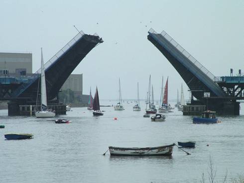 Click now to see this image full size.