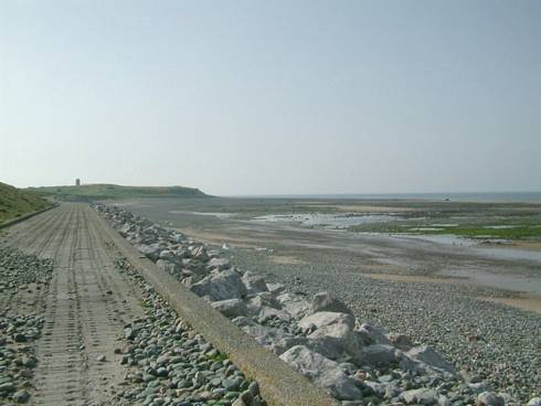 Click now to see this image full size.