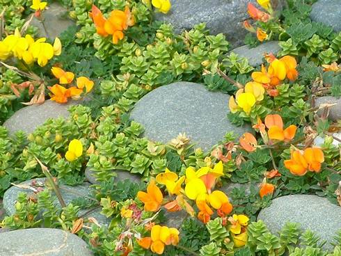 Click now to see this image full size.