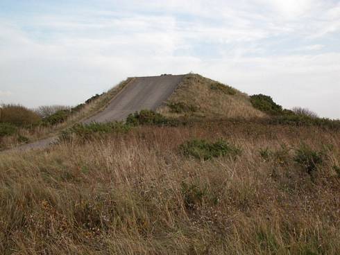 Click now to see this image full size.