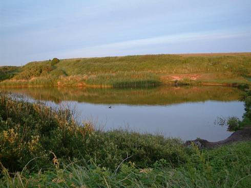 Click now to see this image full size.