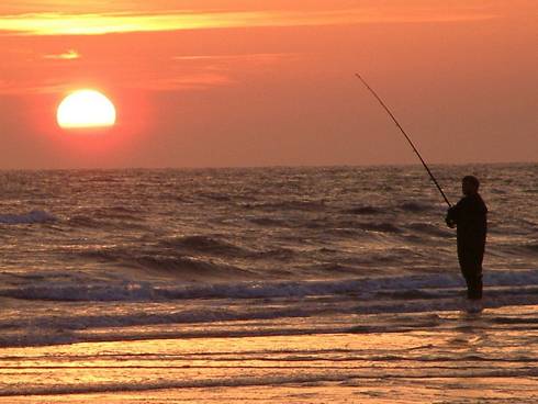 Click now to see this image full size.