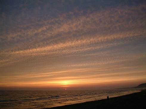 Click now to see this image full size.