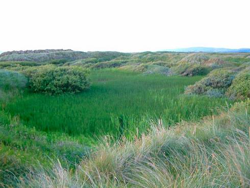 Click now to see this image full size.